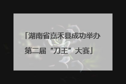 湖南省嘉禾县成功举办第二届“刀王”大赛