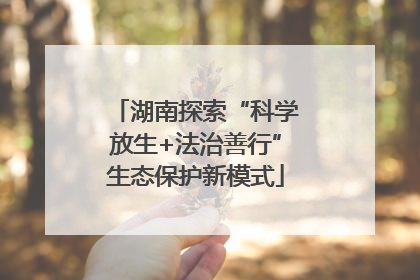 湖南探索“科学放生+法治善行”生态保护新模式