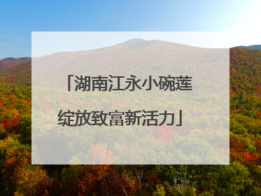 湖南江永小碗莲绽放致富新活力
