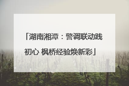 湖南湘潭：警调联动践初心 枫桥经验焕新彩