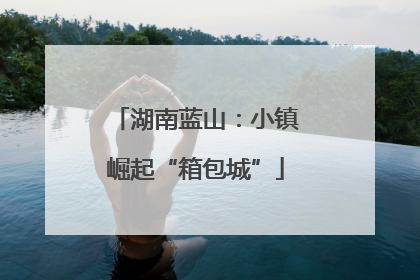 湖南蓝山：小镇崛起“箱包城”