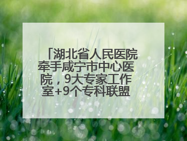 湖北省人民医院牵手咸宁市中心医院，9大专家工作室+9个专科联盟筑牢区域医疗网