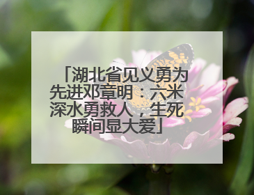 湖北省见义勇为先进邓章明：六米深水勇救人，生死瞬间显大爱