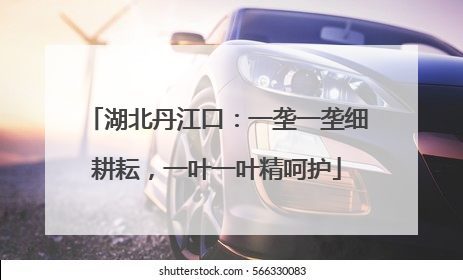 湖北丹江口：一垄一垄细耕耘，一叶一叶精呵护