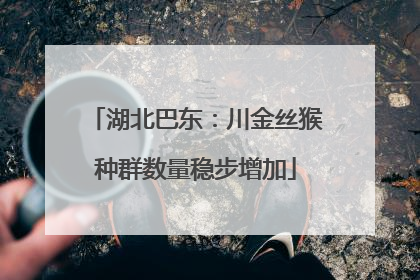 湖北巴东：川金丝猴种群数量稳步增加