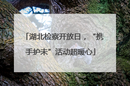 湖北检察开放日，“携手护未”活动超暖心
