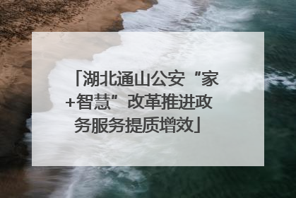 湖北通山公安“家+智慧”改革推进政务服务提质增效