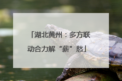 湖北黄州：多方联动合力解“薪”愁