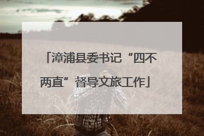 漳浦县委书记“四不两直”督导文旅工作