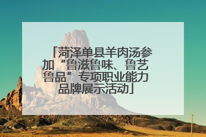 菏泽单县羊肉汤参加“鲁滋鲁味、鲁艺鲁品”专项职业能力品牌展示活动