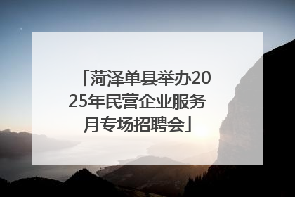 菏泽单县举办2025年民营企业服务月专场招聘会