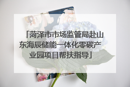 菏泽市市场监管局赴山东海辰储能一体化零碳产业园项目帮扶指导