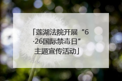 莲湖法院开展“6·26国际禁毒日”主题宣传活动