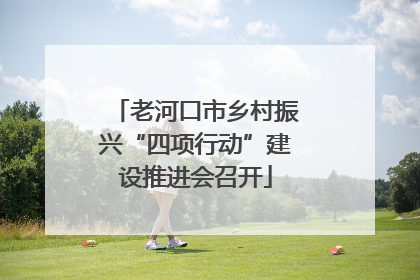 老河口市乡村振兴“四项行动”建设推进会召开