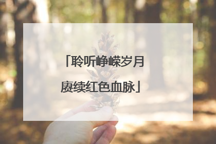 聆听峥嵘岁月 赓续红色血脉