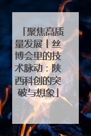 聚焦高质量发展丨丝博会里的技术脉动：陕西科创的突破与想象
