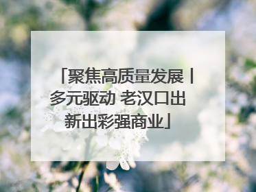 聚焦高质量发展丨多元驱动 老汉口出新出彩强商业