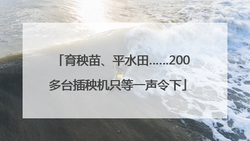 育秧苗、平水田……200多台插秧机只等一声令下