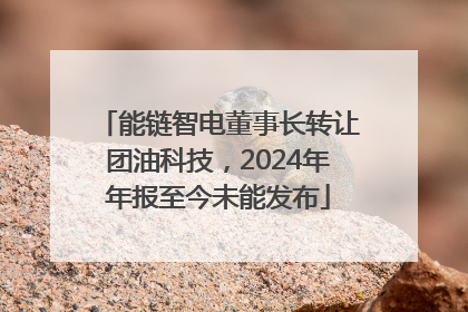 能链智电董事长转让团油科技，2024年年报至今未能发布