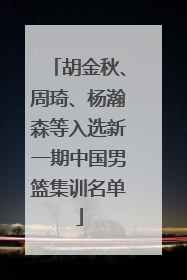 胡金秋、周琦、杨瀚森等入选新一期中国男篮集训名单