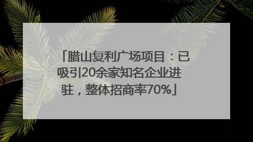腊山复利广场项目：已吸引20余家知名企业进驻，整体招商率70%