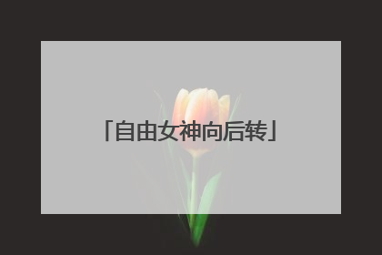 自由女神向后转