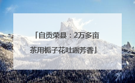 自贡荣县：2万多亩茶用栀子花吐露芳香