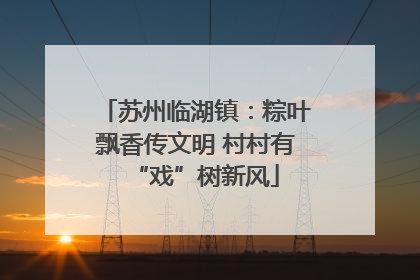 苏州临湖镇：粽叶飘香传文明 村村有“戏”树新风