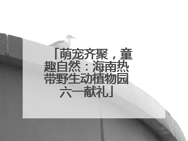 萌宠齐聚，童趣自然：海南热带野生动植物园六一献礼