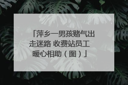 萍乡一男孩赌气出走迷路 收费站员工暖心相助（图）