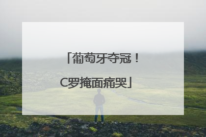 葡萄牙夺冠！C罗掩面痛哭