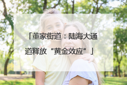 董家街道：陆海大通道释放“黄金效应”