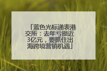 蓝色光标递表港交所：去年亏损近3亿元，要抓住出海跨境营销机遇