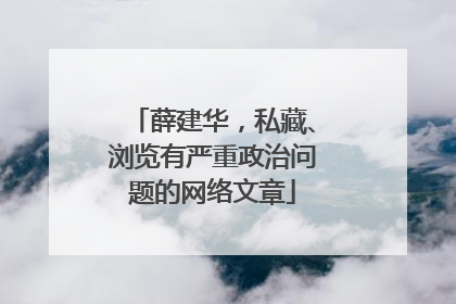 薛建华，私藏、浏览有严重政治问题的网络文章