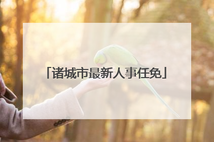 诸城市最新人事任免