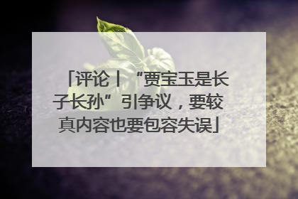 评论丨“贾宝玉是长子长孙”引争议，要较真内容也要包容失误