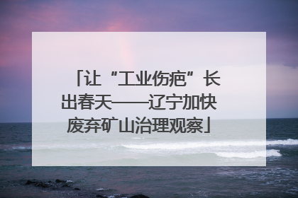 让“工业伤疤”长出春天——辽宁加快废弃矿山治理观察