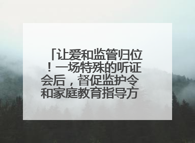 让爱和监管归位！一场特殊的听证会后，督促监护令和家庭教育指导方案同时送达