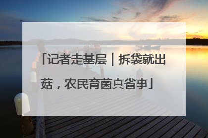 记者走基层｜拆袋就出菇，农民育菌真省事