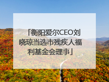 衡阳爱尔CEO刘晓琼当选市残疾人福利基金会理事