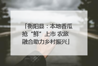 衡阳县：本地香瓜抢“鲜”上市 农旅融合助力乡村振兴