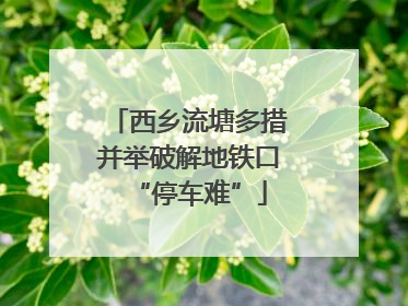 西乡流塘多措并举破解地铁口“停车难”