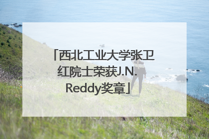 西北工业大学张卫红院士荣获J.N.Reddy奖章