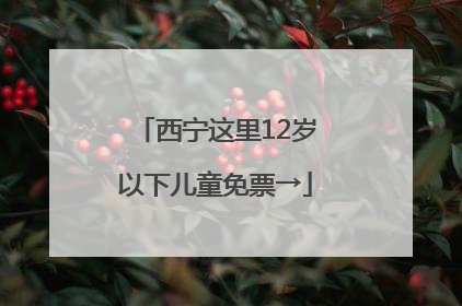西宁这里12岁以下儿童免票→