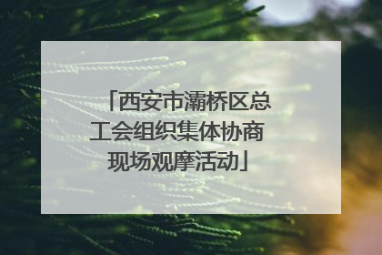 西安市灞桥区总工会组织集体协商现场观摩活动