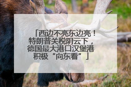 西边不亮东边亮！特朗普关税阴云下，德国最大港口汉堡港积极“向东看”
