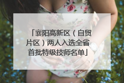 襄阳高新区（自贸片区）两人入选全省首批特级技师名单