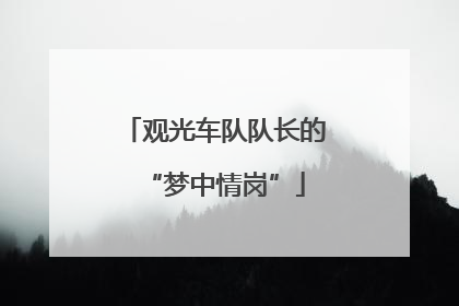 观光车队队长的“梦中情岗”