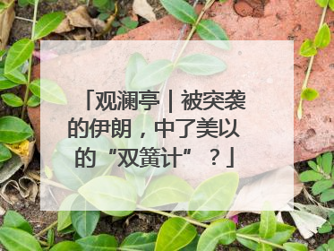 观澜亭｜被突袭的伊朗，中了美以的“双簧计”？