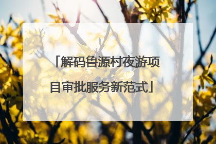 解码鲁源村夜游项目审批服务新范式